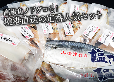 高級魚ノドグロも！境港直送の定番人気セット