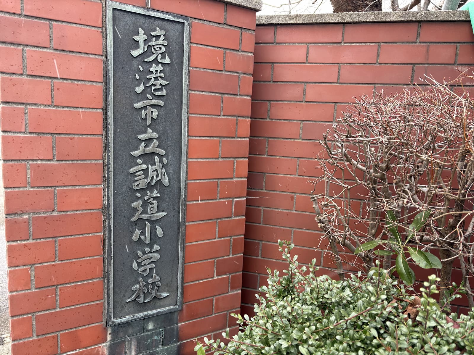 ガイナーレ誠道アカデミー